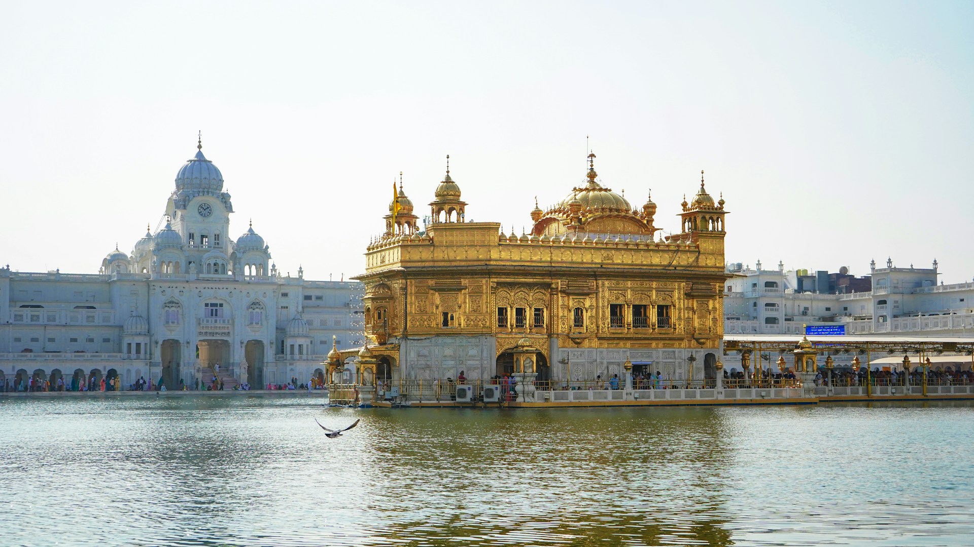 Golden Tample (Amritsar)
