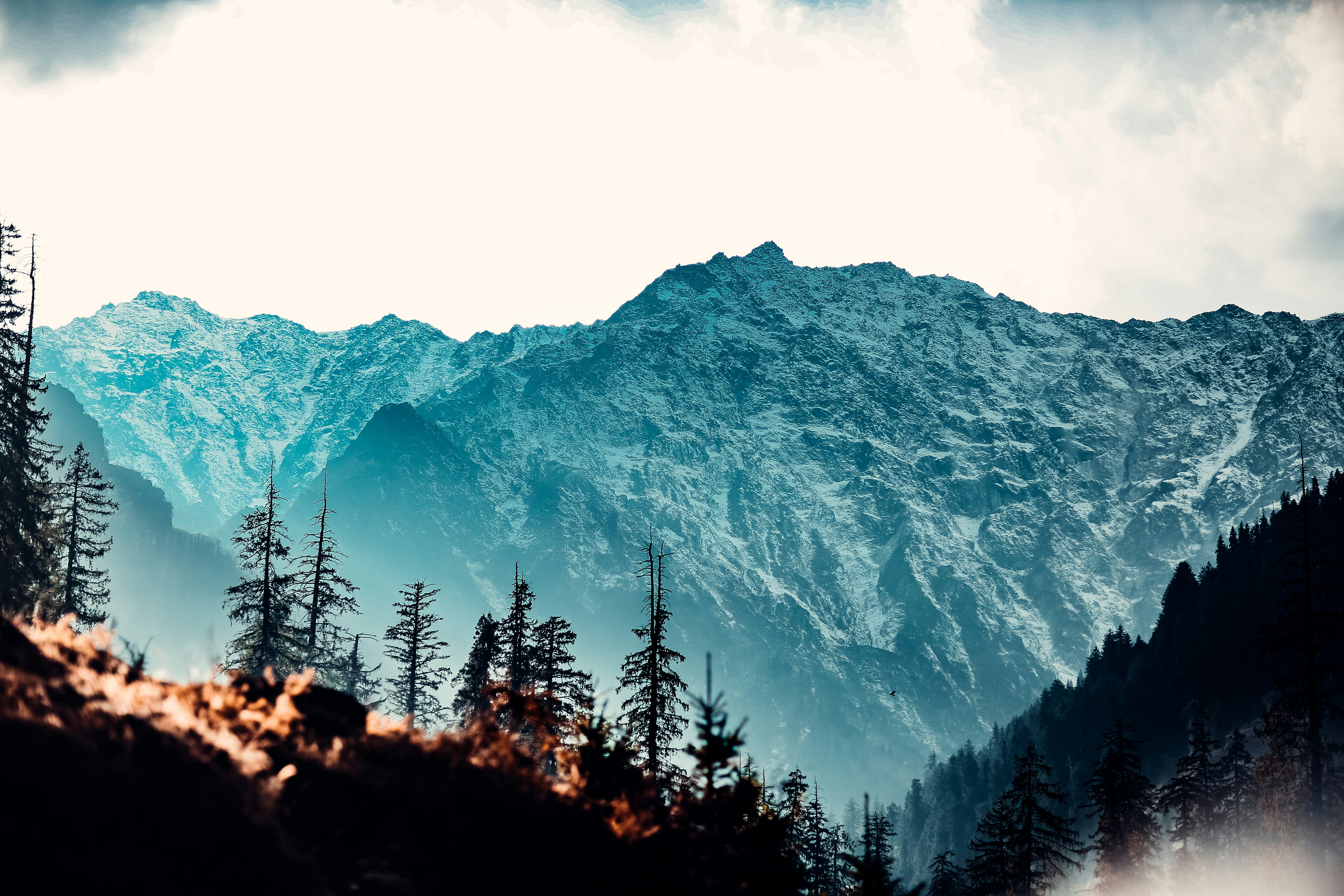Manali Adventure Escape 5 Days