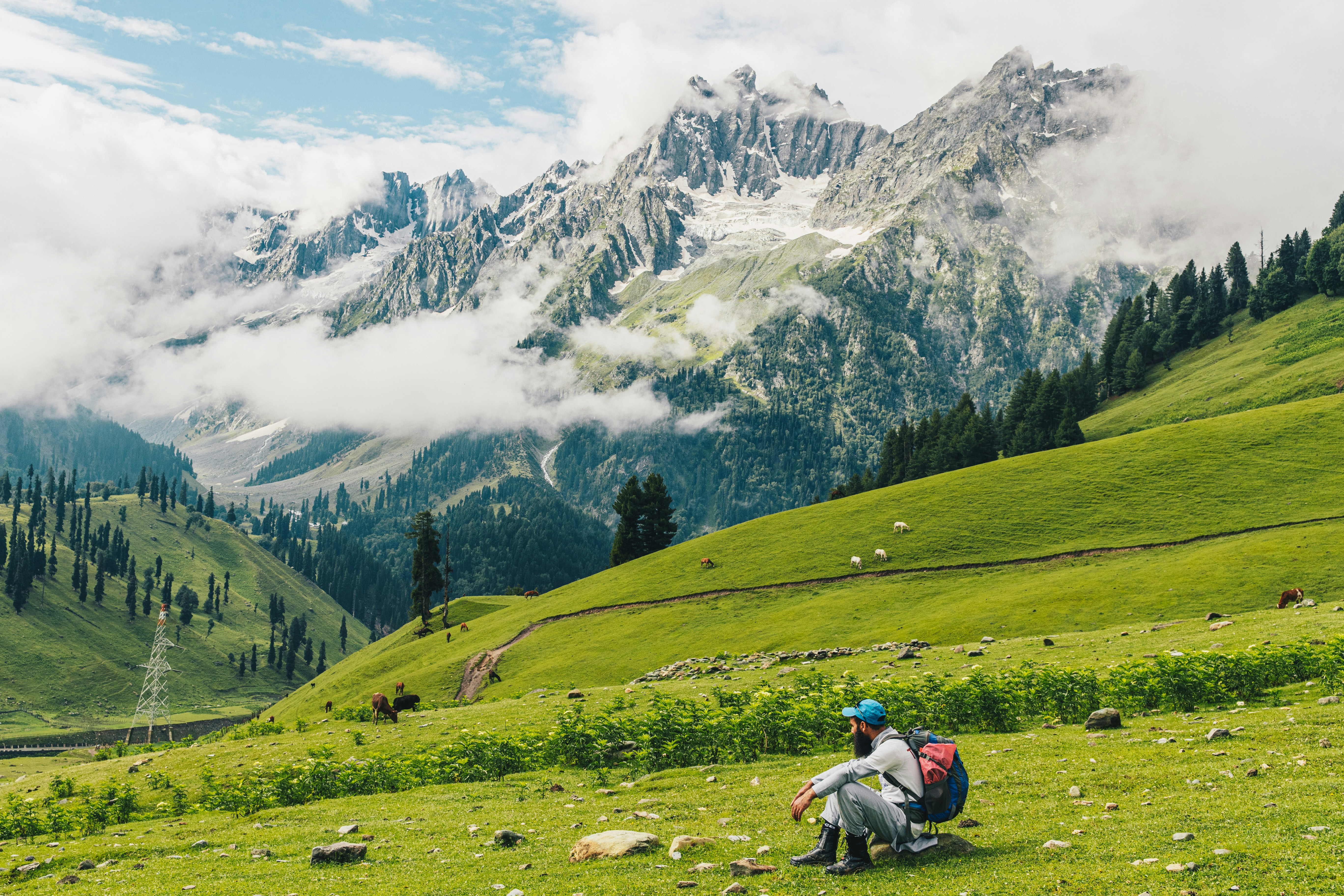 Kashmir Paradise Tour 5 Days