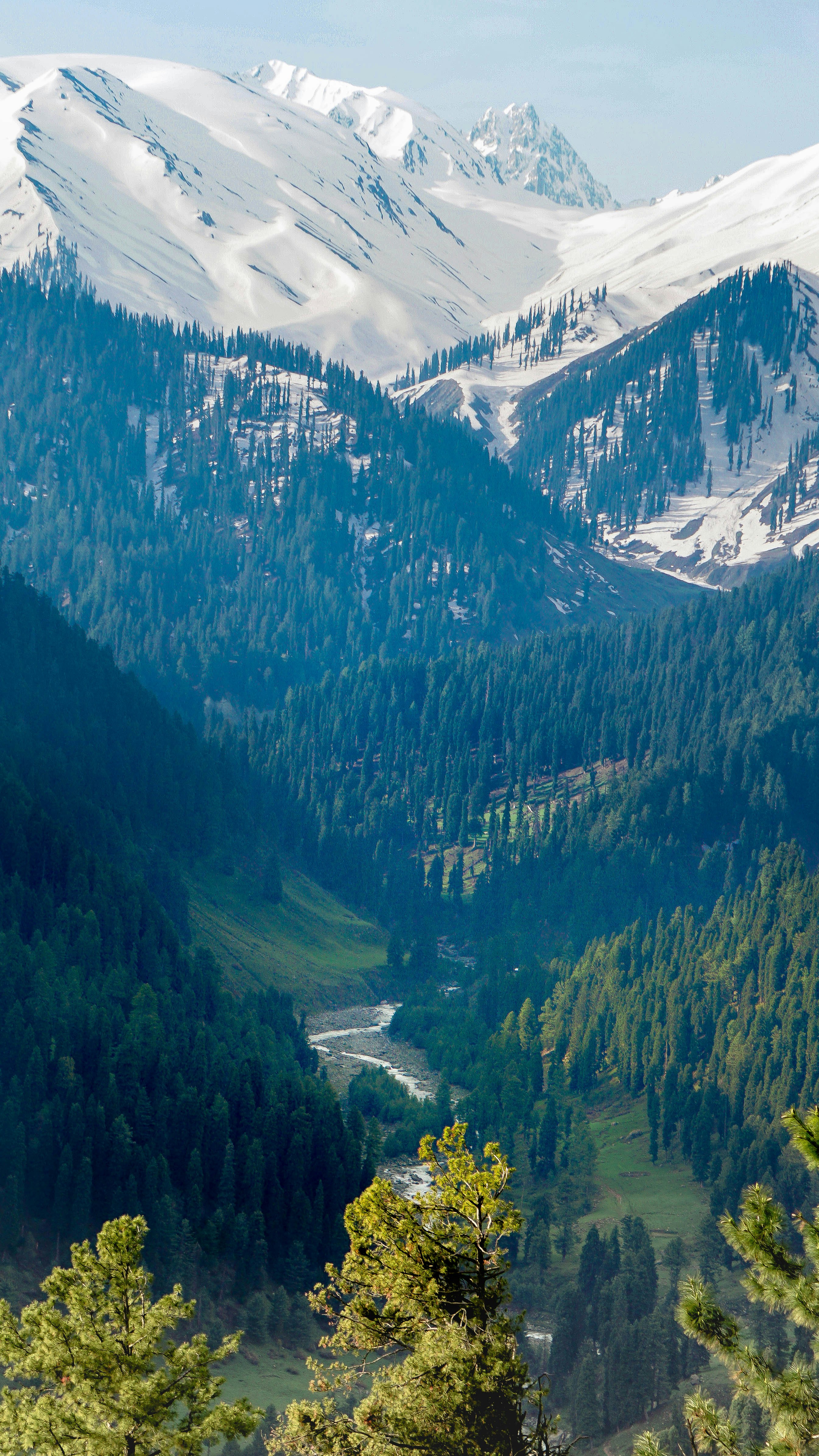 Kashmir Paradise Tour 5 Days