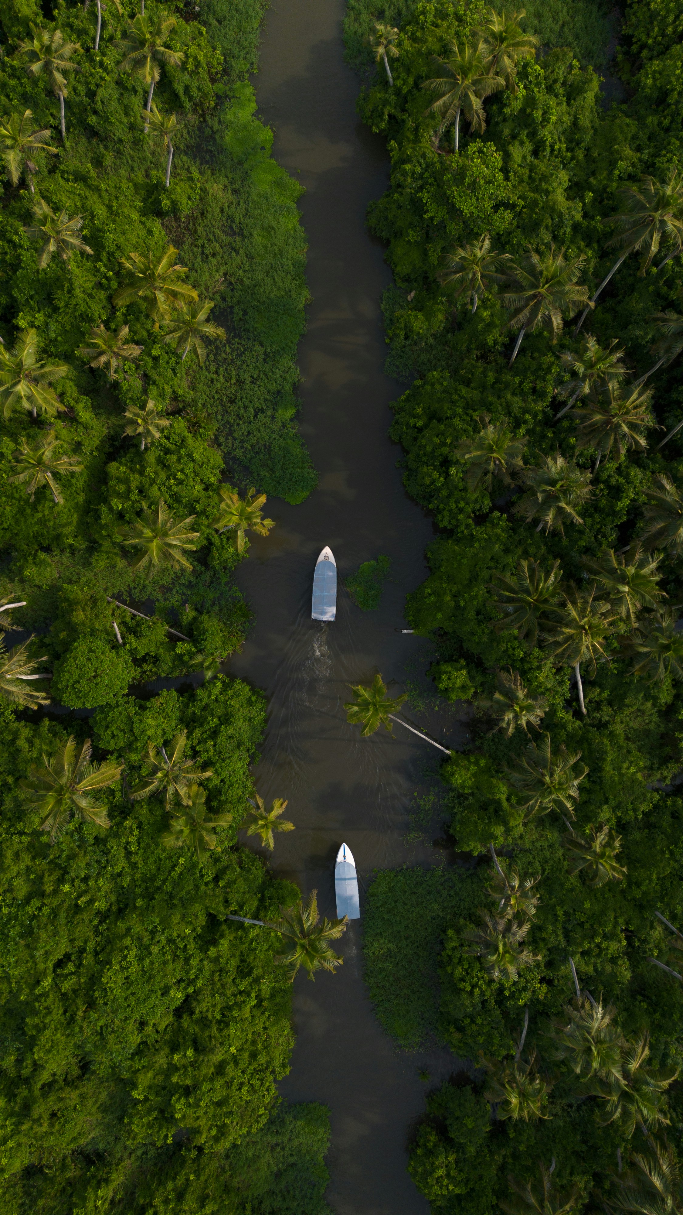 Kerala Backwaters Retreat 5 Days