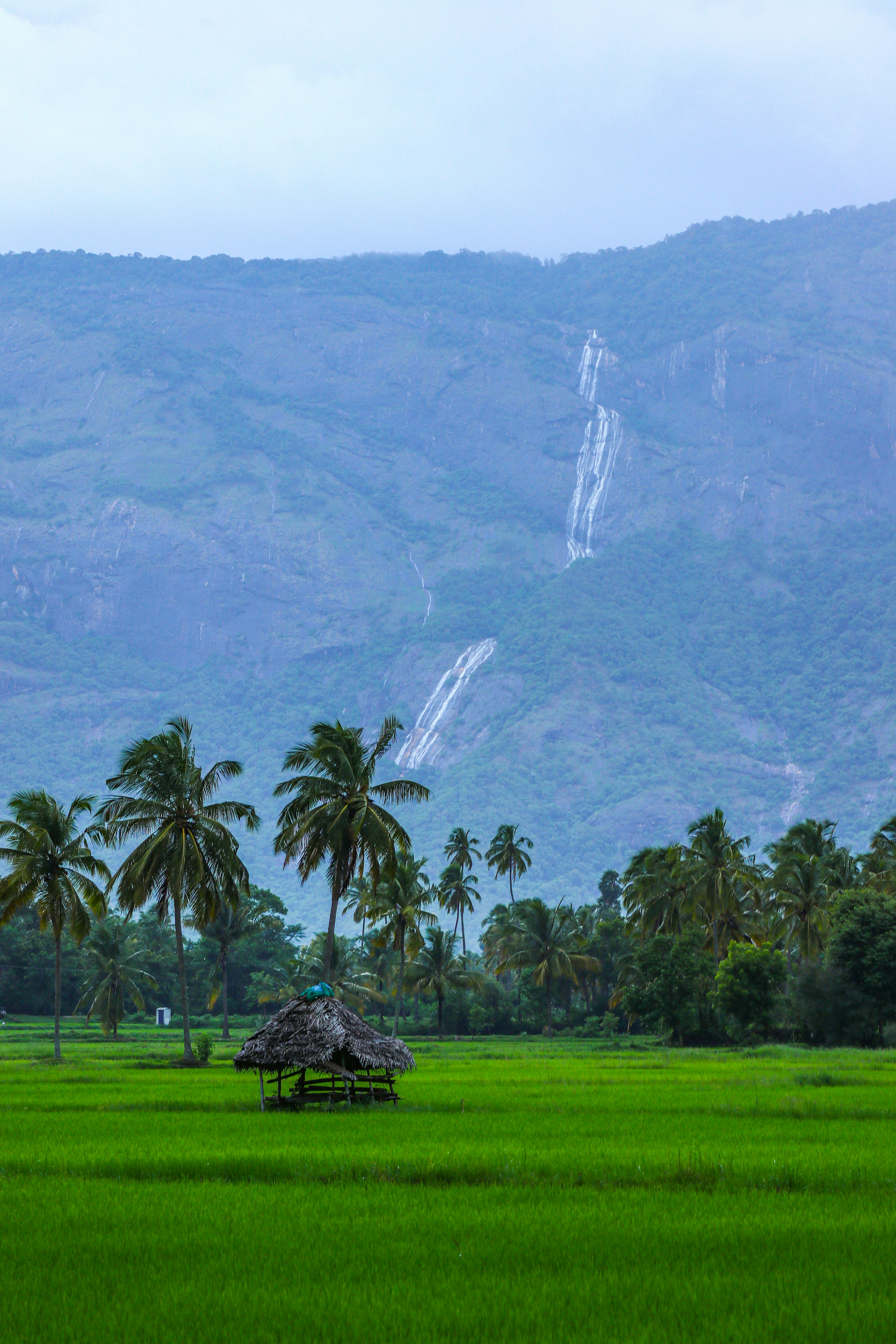 Kerala Backwaters Retreat 5 Days