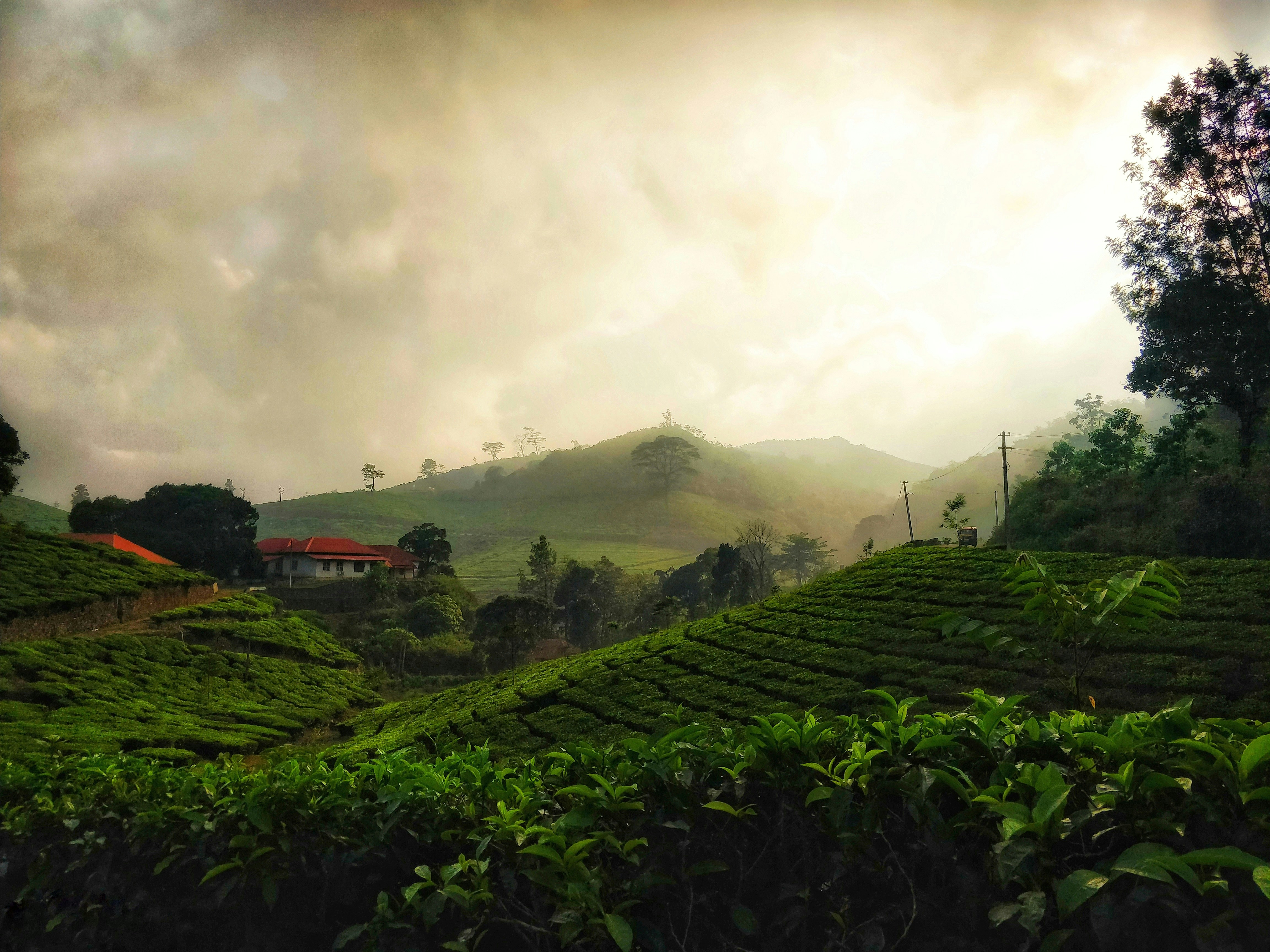 Kerala Backwaters Retreat 5 Days